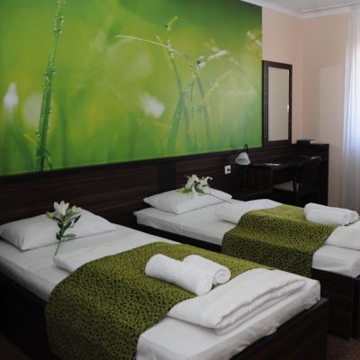 Green Hotel Budapest 4* Budapeszt