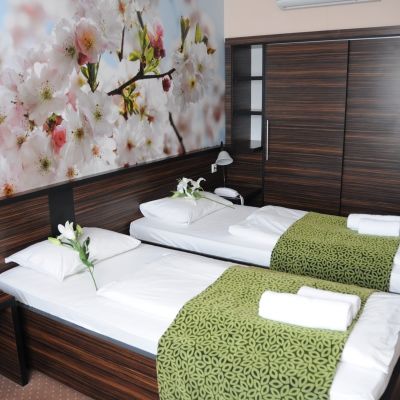 Green Hotel Budapest Budapeszt
